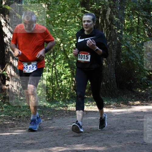 28.09.2025 - 33. Volkslauf durch das schöne Alstertal Strokosch-Dieckow http://msf.ph/oto/8970424 28.09.2025 11:50:53 Laufen 3332, 1015 meine-sportfotos.de
