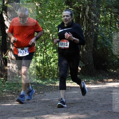28.09.2025 - 33. Volkslauf durch das schöne Alstertal Strokosch-Dieckow http://msf.ph/oto/8970425 28.09.2025 11:50:53 Laufen 3332, 1015 meine-sportfotos.de