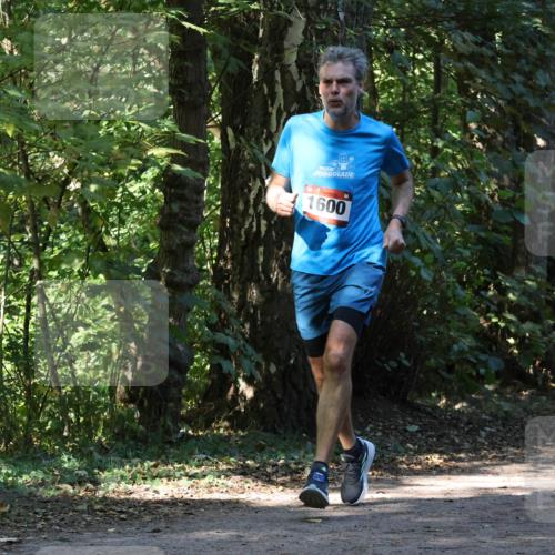 28.09.2025 - 33. Volkslauf durch das schöne Alstertal Strokosch-Dieckow http://msf.ph/oto/8970427 28.09.2025 11:51:06 Laufen 1600 meine-sportfotos.de