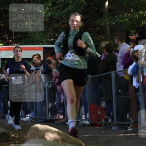 28.09.2025 - 33. Volkslauf durch das schöne Alstertal Strokosch-Dieckow http://msf.ph/oto/8970428 28.09.2025 11:51:44 Ziel 3164, 3165, 3336 meine-sportfotos.de