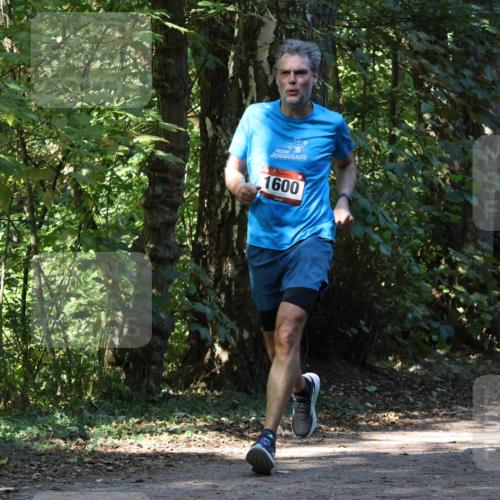 28.09.2025 - 33. Volkslauf durch das schöne Alstertal Strokosch-Dieckow http://msf.ph/oto/8970429 28.09.2025 11:51:06 Laufen 1600 meine-sportfotos.de
