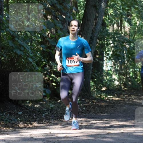 28.09.2025 - 33. Volkslauf durch das schöne Alstertal Strokosch-Dieckow http://msf.ph/oto/8970447 28.09.2025 11:52:19 Laufen 1017, 1610 meine-sportfotos.de