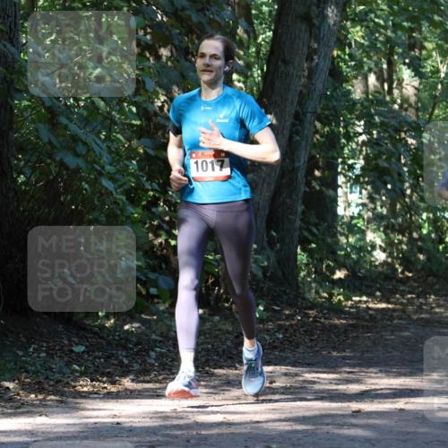 28.09.2025 - 33. Volkslauf durch das schöne Alstertal Strokosch-Dieckow http://msf.ph/oto/8970449 28.09.2025 11:52:19 Laufen 1017, 1610, 2512 meine-sportfotos.de