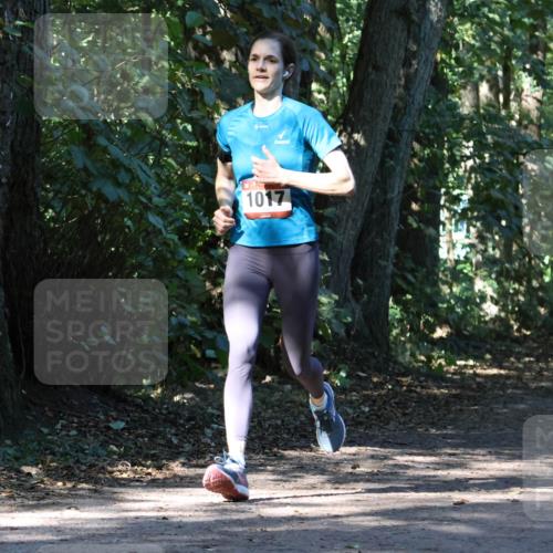 28.09.2025 - 33. Volkslauf durch das schöne Alstertal Strokosch-Dieckow http://msf.ph/oto/8970450 28.09.2025 11:52:19 Laufen 1017, 1610, 2312 meine-sportfotos.de