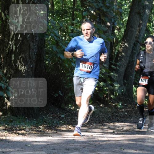 28.09.2025 - 33. Volkslauf durch das schöne Alstertal Strokosch-Dieckow http://msf.ph/oto/8970452 28.09.2025 11:52:23 Laufen 1610, 1011, 2512 meine-sportfotos.de