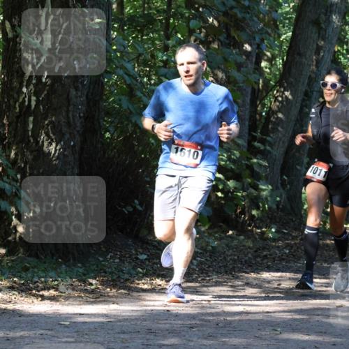 28.09.2025 - 33. Volkslauf durch das schöne Alstertal Strokosch-Dieckow http://msf.ph/oto/8970453 28.09.2025 11:52:23 Laufen 1610, 1011, 2512 meine-sportfotos.de
