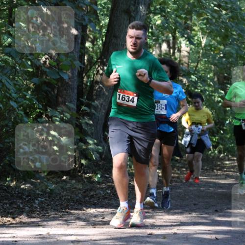 28.09.2025 - 33. Volkslauf durch das schöne Alstertal Strokosch-Dieckow http://msf.ph/oto/8970460 28.09.2025 11:52:32 Laufen 1634, 085, 1637 meine-sportfotos.de