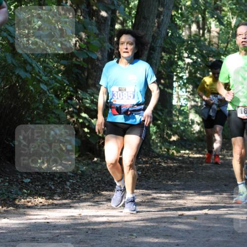 28.09.2025 - 33. Volkslauf durch das schöne Alstertal Strokosch-Dieckow http://msf.ph/oto/8970461 28.09.2025 11:52:34 Laufen 34, 3085, 1637, 1698 meine-sportfotos.de
