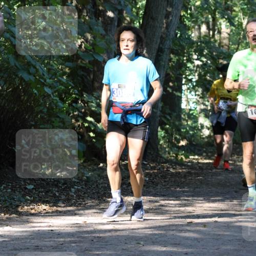 28.09.2025 - 33. Volkslauf durch das schöne Alstertal Strokosch-Dieckow http://msf.ph/oto/8970462 28.09.2025 11:52:34 Laufen 3085, 308, 1637, 1698 meine-sportfotos.de