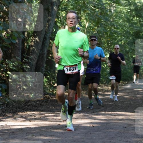 28.09.2025 - 33. Volkslauf durch das schöne Alstertal Strokosch-Dieckow http://msf.ph/oto/8970463 28.09.2025 11:52:35 Laufen 3085, 1637, 1698 meine-sportfotos.de