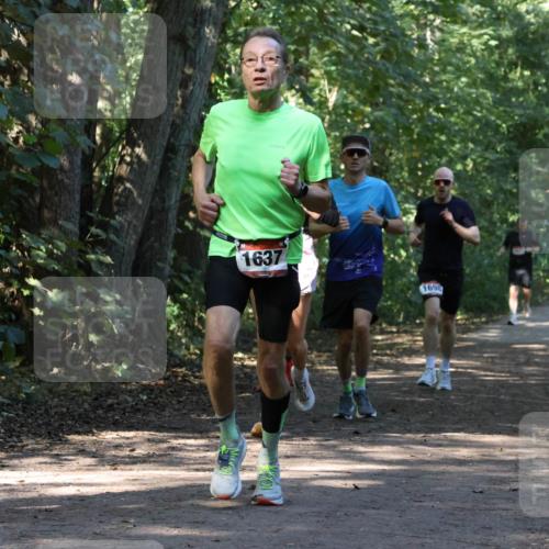 28.09.2025 - 33. Volkslauf durch das schöne Alstertal Strokosch-Dieckow http://msf.ph/oto/8970464 28.09.2025 11:52:35 Laufen 3085, 1637, 169 meine-sportfotos.de