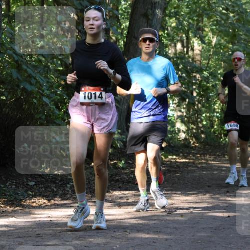 28.09.2025 - 33. Volkslauf durch das schöne Alstertal Strokosch-Dieckow http://msf.ph/oto/8970465 28.09.2025 11:52:37 Laufen 1014, 1698 meine-sportfotos.de
