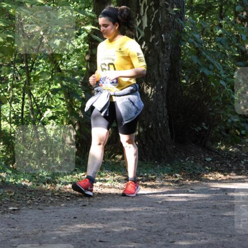 28.09.2025 - 33. Volkslauf durch das schöne Alstertal Strokosch-Dieckow http://msf.ph/oto/8970472 28.09.2025 11:52:42 Laufen 60, 30, 2024 meine-sportfotos.de