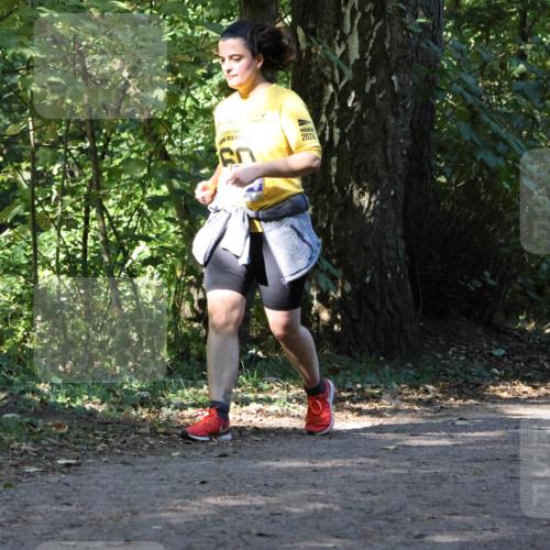 28.09.2025 - 33. Volkslauf durch das schöne Alstertal Strokosch-Dieckow http://msf.ph/oto/8970474 28.09.2025 11:52:42 Laufen 2024 meine-sportfotos.de
