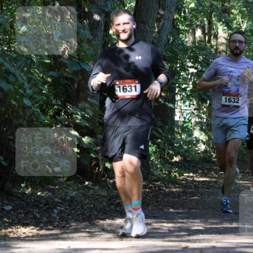 28.09.2025 - 33. Volkslauf durch das schöne Alstertal Strokosch-Dieckow http://msf.ph/oto/8970476 28.09.2025 11:52:49 Laufen 1631, 47, 1632, 1119, 647 meine-sportfotos.de