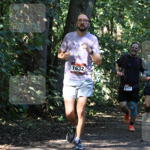 28.09.2025 - 33. Volkslauf durch das schöne Alstertal Strokosch-Dieckow http://msf.ph/oto/8970478 28.09.2025 11:52:50 Laufen 1632, 647, 1119 meine-sportfotos.de
