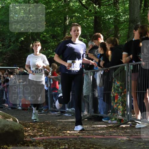 28.09.2025 - 33. Volkslauf durch das schöne Alstertal Strokosch-Dieckow http://msf.ph/oto/8970480 28.09.2025 11:51:48 Ziel 1602, 2651, 3137, 3164, 3165, 3336 meine-sportfotos.de
