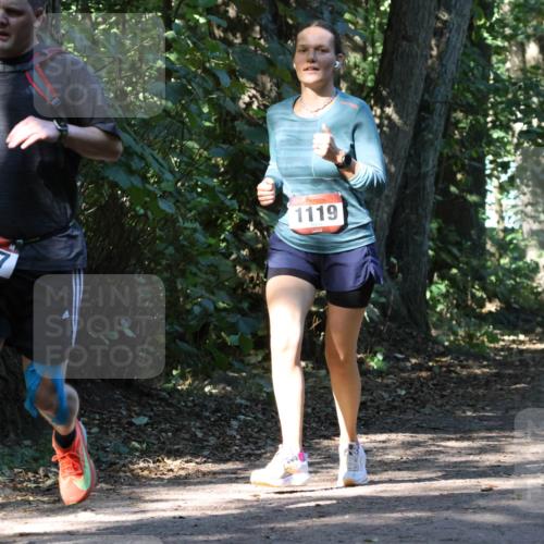 28.09.2025 - 33. Volkslauf durch das schöne Alstertal Strokosch-Dieckow http://msf.ph/oto/8970483 28.09.2025 11:52:54 Laufen 647, 1119, 26 meine-sportfotos.de