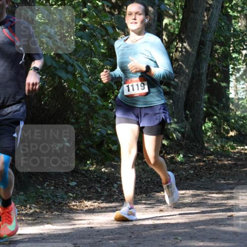 28.09.2025 - 33. Volkslauf durch das schöne Alstertal Strokosch-Dieckow http://msf.ph/oto/8970485 28.09.2025 11:52:54 Laufen 647, 1119, 26 meine-sportfotos.de
