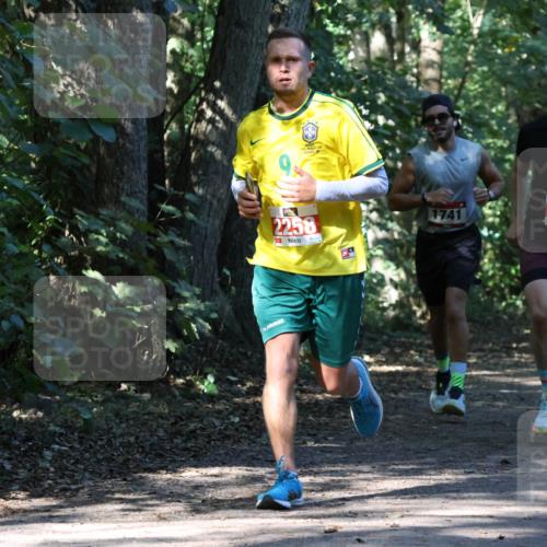 28.09.2025 - 33. Volkslauf durch das schöne Alstertal Strokosch-Dieckow http://msf.ph/oto/8970493 28.09.2025 11:53:12 Laufen 9, 2258, 1741, 2161, 406 meine-sportfotos.de