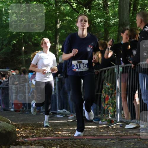 28.09.2025 - 33. Volkslauf durch das schöne Alstertal Strokosch-Dieckow http://msf.ph/oto/8970494 28.09.2025 11:51:49 Ziel 1602, 2651, 3137, 3164, 3165 meine-sportfotos.de