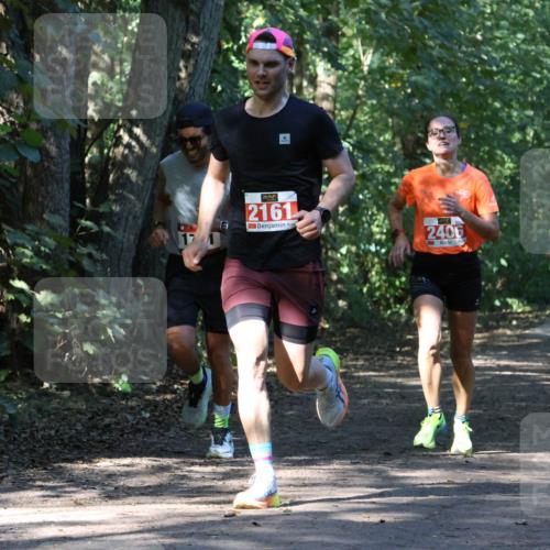 28.09.2025 - 33. Volkslauf durch das schöne Alstertal Strokosch-Dieckow http://msf.ph/oto/8970495 28.09.2025 11:53:13 Laufen 2161, 2406 meine-sportfotos.de