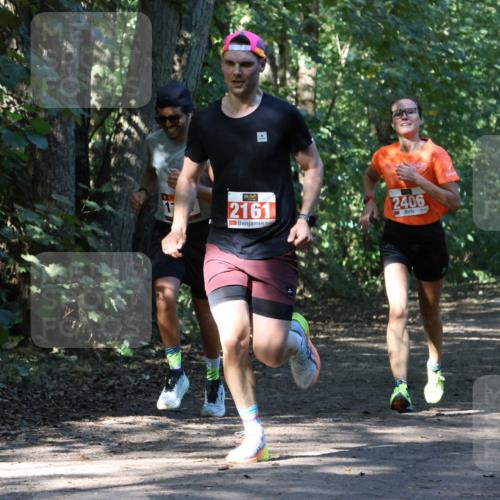 28.09.2025 - 33. Volkslauf durch das schöne Alstertal Strokosch-Dieckow http://msf.ph/oto/8970496 28.09.2025 11:53:14 Laufen 2161, 2406 meine-sportfotos.de