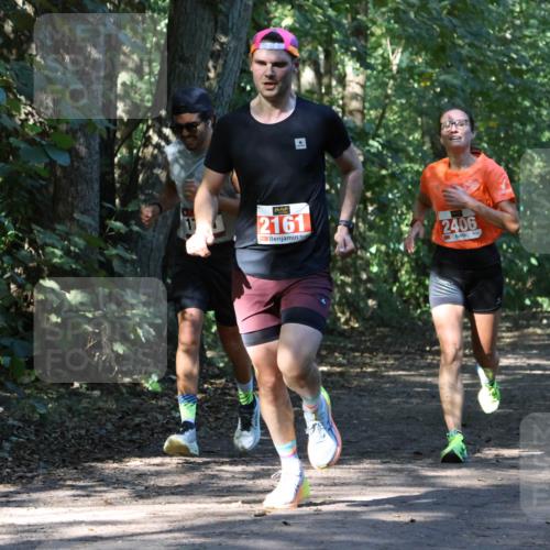 28.09.2025 - 33. Volkslauf durch das schöne Alstertal Strokosch-Dieckow http://msf.ph/oto/8970497 28.09.2025 11:53:14 Laufen 2161, 2406 meine-sportfotos.de