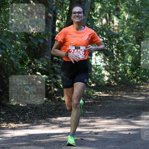 28.09.2025 - 33. Volkslauf durch das schöne Alstertal Strokosch-Dieckow http://msf.ph/oto/8970498 28.09.2025 11:53:15 Laufen 1, 2406 meine-sportfotos.de