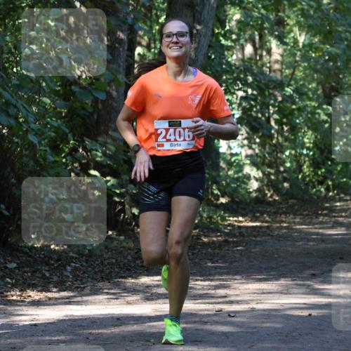 28.09.2025 - 33. Volkslauf durch das schöne Alstertal Strokosch-Dieckow http://msf.ph/oto/8970499 28.09.2025 11:53:15 Laufen 2406 meine-sportfotos.de