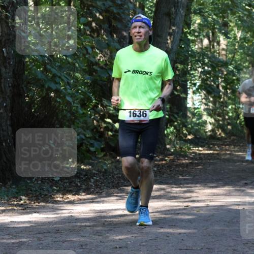 28.09.2025 - 33. Volkslauf durch das schöne Alstertal Strokosch-Dieckow http://msf.ph/oto/8970501 28.09.2025 11:53:25 Laufen 1636, 1125 meine-sportfotos.de