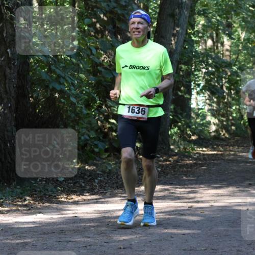 28.09.2025 - 33. Volkslauf durch das schöne Alstertal Strokosch-Dieckow http://msf.ph/oto/8970502 28.09.2025 11:53:25 Laufen 1636, 1125 meine-sportfotos.de