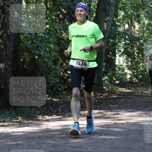 28.09.2025 - 33. Volkslauf durch das schöne Alstertal Strokosch-Dieckow http://msf.ph/oto/8970503 28.09.2025 11:53:25 Laufen 1636, 1125 meine-sportfotos.de