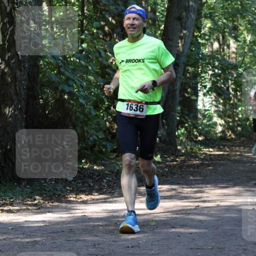 28.09.2025 - 33. Volkslauf durch das schöne Alstertal Strokosch-Dieckow http://msf.ph/oto/8970504 28.09.2025 11:53:25 Laufen 1636, 1125 meine-sportfotos.de