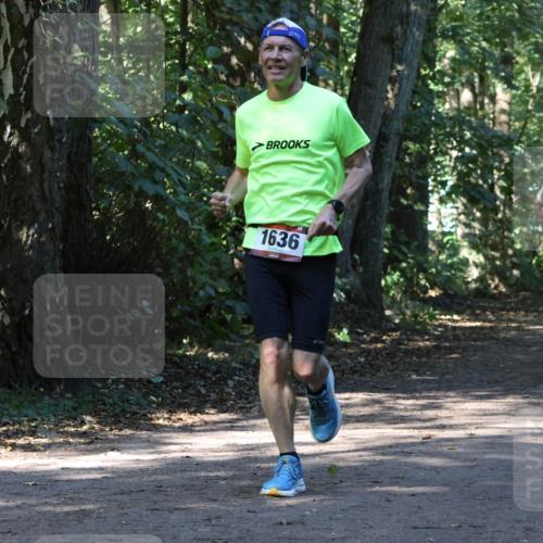 28.09.2025 - 33. Volkslauf durch das schöne Alstertal Strokosch-Dieckow http://msf.ph/oto/8970505 28.09.2025 11:53:25 Laufen 1636, 1125, 1600 meine-sportfotos.de