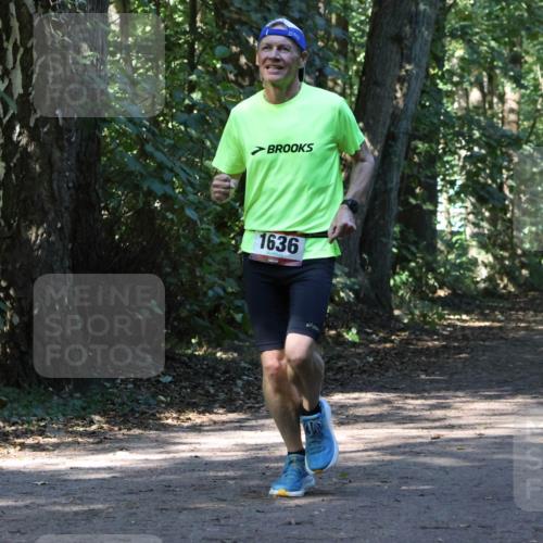 28.09.2025 - 33. Volkslauf durch das schöne Alstertal Strokosch-Dieckow http://msf.ph/oto/8970506 28.09.2025 11:53:25 Laufen 1636, 1608, 1125 meine-sportfotos.de