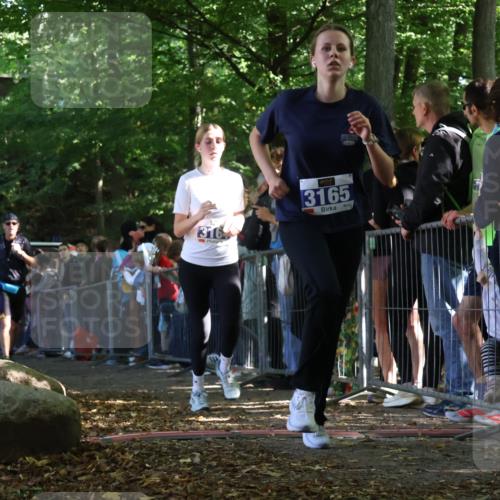 28.09.2025 - 33. Volkslauf durch das schöne Alstertal Strokosch-Dieckow http://msf.ph/oto/8970507 28.09.2025 11:51:49 Ziel 1602, 2651, 3137, 3164, 3165 meine-sportfotos.de
