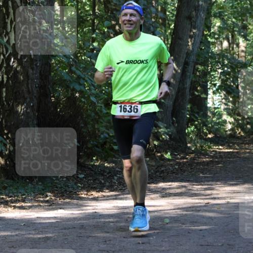 28.09.2025 - 33. Volkslauf durch das schöne Alstertal Strokosch-Dieckow http://msf.ph/oto/8970508 28.09.2025 11:53:25 Laufen 1636, 1125 meine-sportfotos.de