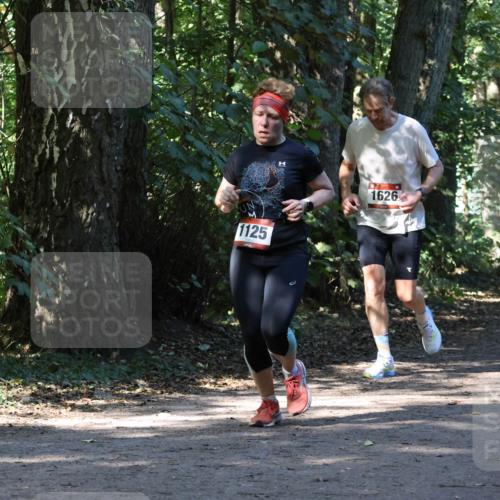 28.09.2025 - 33. Volkslauf durch das schöne Alstertal Strokosch-Dieckow http://msf.ph/oto/8970509 28.09.2025 11:53:29 Laufen 1125, 1626, 1608 meine-sportfotos.de
