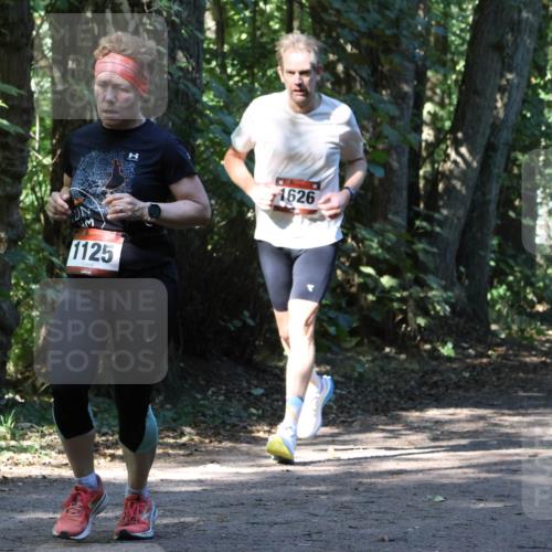 28.09.2025 - 33. Volkslauf durch das schöne Alstertal Strokosch-Dieckow http://msf.ph/oto/8970513 28.09.2025 11:53:30 Laufen 1125, 1626, 1608 meine-sportfotos.de