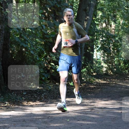 28.09.2025 - 33. Volkslauf durch das schöne Alstertal Strokosch-Dieckow http://msf.ph/oto/8970514 28.09.2025 11:53:32 Laufen 16, 1799 meine-sportfotos.de
