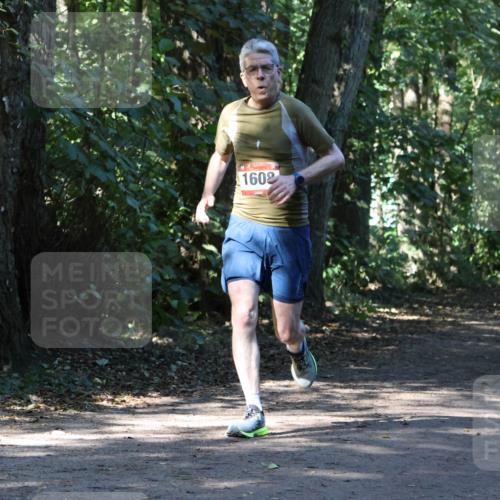 28.09.2025 - 33. Volkslauf durch das schöne Alstertal Strokosch-Dieckow http://msf.ph/oto/8970515 28.09.2025 11:53:32 Laufen 1602, 1799 meine-sportfotos.de