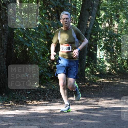 28.09.2025 - 33. Volkslauf durch das schöne Alstertal Strokosch-Dieckow http://msf.ph/oto/8970516 28.09.2025 11:53:32 Laufen 1608 meine-sportfotos.de