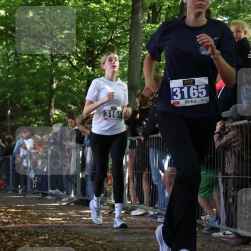 28.09.2025 - 33. Volkslauf durch das schöne Alstertal Strokosch-Dieckow http://msf.ph/oto/8970521 28.09.2025 11:51:50 Ziel 1602, 2651, 3137, 3164, 3165 meine-sportfotos.de