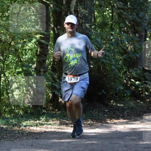 28.09.2025 - 33. Volkslauf durch das schöne Alstertal Strokosch-Dieckow http://msf.ph/oto/8970526 28.09.2025 11:53:50 Laufen 19, 1639 meine-sportfotos.de