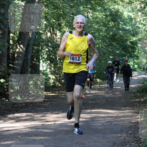 28.09.2025 - 33. Volkslauf durch das schöne Alstertal Strokosch-Dieckow http://msf.ph/oto/8970527 28.09.2025 11:53:56 Laufen 1612 meine-sportfotos.de