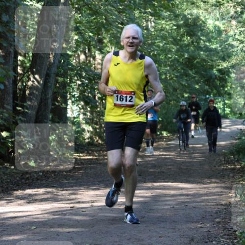 28.09.2025 - 33. Volkslauf durch das schöne Alstertal Strokosch-Dieckow http://msf.ph/oto/8970528 28.09.2025 11:53:56 Laufen 1612 meine-sportfotos.de
