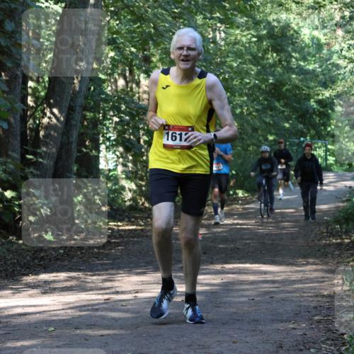 28.09.2025 - 33. Volkslauf durch das schöne Alstertal Strokosch-Dieckow http://msf.ph/oto/8970529 28.09.2025 11:53:56 Laufen 1612 meine-sportfotos.de