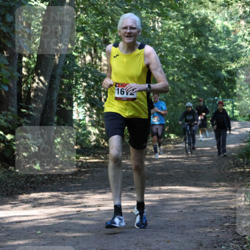 28.09.2025 - 33. Volkslauf durch das schöne Alstertal Strokosch-Dieckow http://msf.ph/oto/8970530 28.09.2025 11:53:56 Laufen 16, 1023 meine-sportfotos.de
