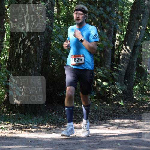 28.09.2025 - 33. Volkslauf durch das schöne Alstertal Strokosch-Dieckow http://msf.ph/oto/8970537 28.09.2025 11:54:05 Laufen 1625 meine-sportfotos.de